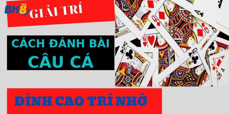 Tổng quan về bài câu cá