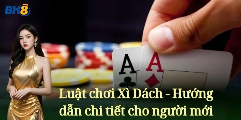Luật chơi Xì Dách - Hướng dẫn chi tiết cho người mới