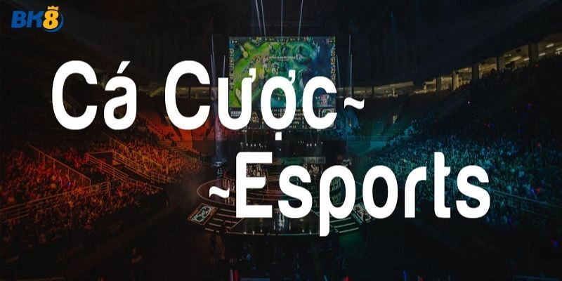 Cá cược Esports là gì? Tại sao dân chơi lại “bồ kết”?